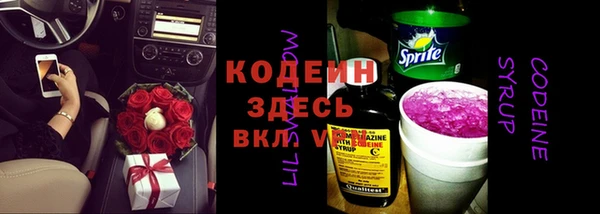 соль ск Кукмор