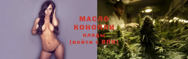 соль ск Кукмор