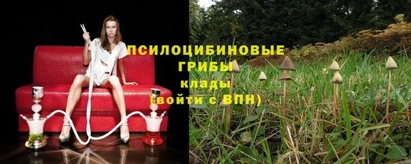 гидра Кулебаки
